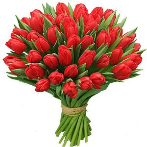 Букет из 49 красных тюльпанов 



Цвет
красный


Основные цветы
тюльпаны


Размер букета
маленький (диаметр до 30 см)


Состав букета
Тюльпаны красные - 49шт.


Подвиды цветов


