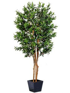 Искусственный Олива с плодами 195 см Высота 195 см., листьев  3456 шт., плоды 324 шт., в транспортировочном кашпо