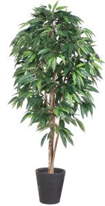 Искусственный манго 180 см Высота 180 см., листьев 880 шт., в транспортировочном кашпо