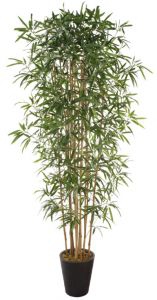 Искусственный бамбук 210 см Высота 210 см., листьев 2304 шт., в транспортировочном кашпо