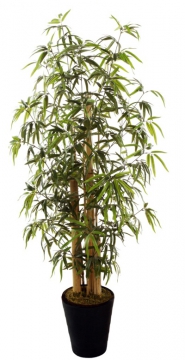 Искусственный бамбук 168 см Высота 168 см., листьев 1288 шт., в транспортировочном кашпо