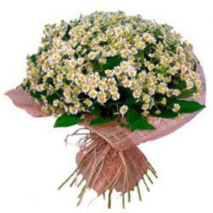 Букет ромашек