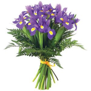 Букет из 19 ирисов