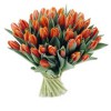 Букет из 49 красно-оранжевых тюльпанов