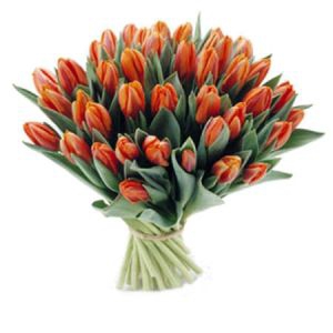 Букет из 49 красно-оранжевых тюльпанов 



Цвет
красный


Основные цветы
тюльпаны


Размер букета
маленький (диаметр до 30 см)


Состав букета
Тюльпаны красные - 49шт.


Подвиды цветов


