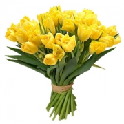 Букет «Рио» 49 желтых тюльпанов